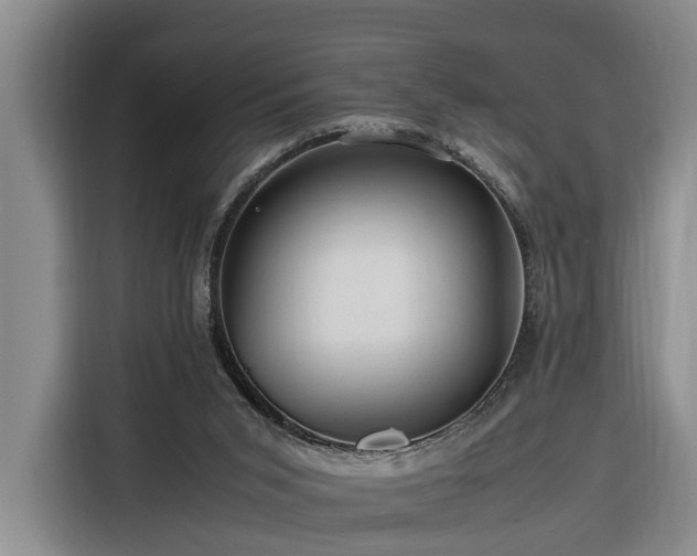 X0000116260015200912071031