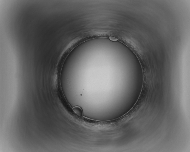 X0000116260016200912071031