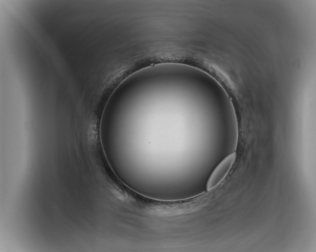 X0000116260017200912071031