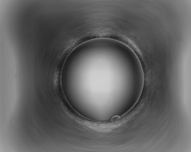 X0000116260018200912071031