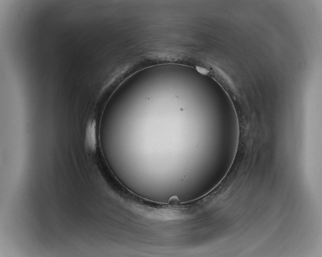 X0000116260020200912071031