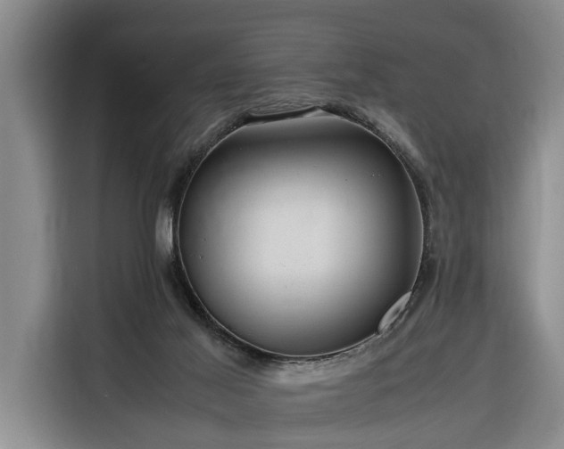 X0000116260021200912071031