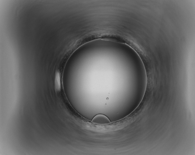 X0000116260022200912071031