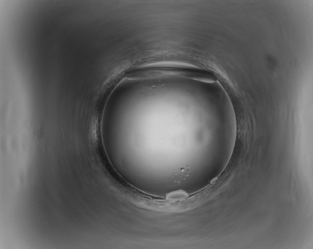X0000116260023200912071031