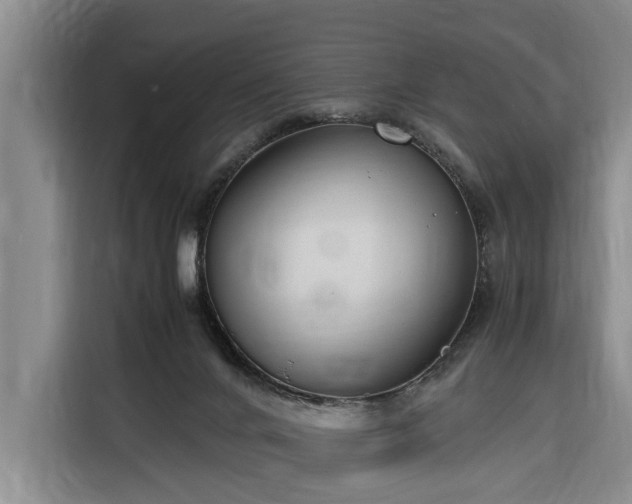 X0000116260024200912071031