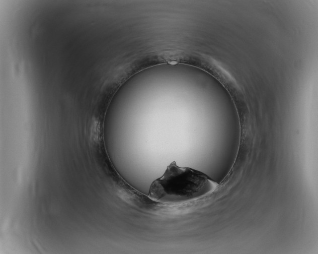 X0000116260025200912071031