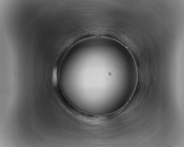 X0000116260028200912071031