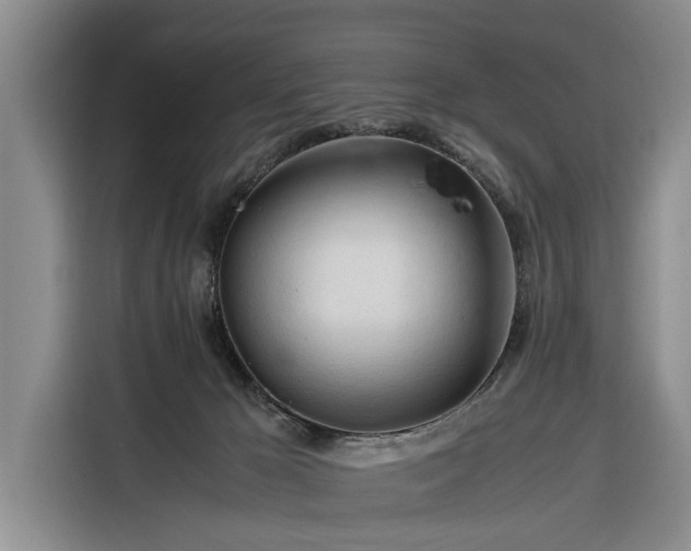 X0000116260029200912071031