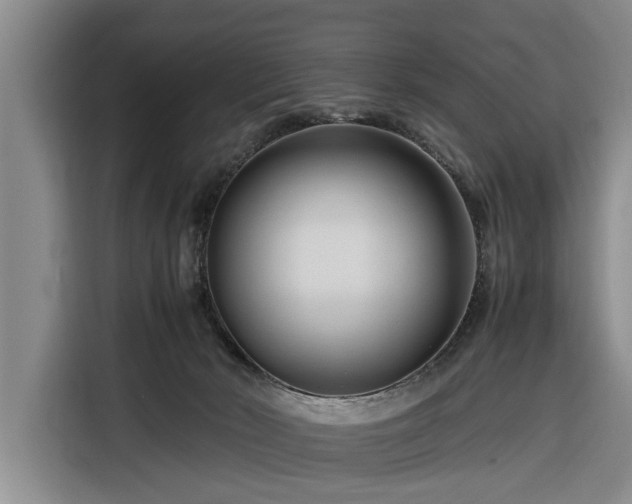 X0000116260030200912071031
