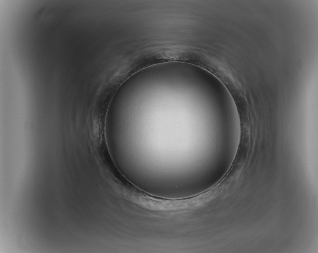 X0000116260031200912071031