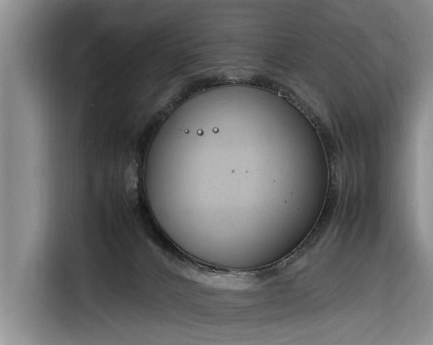 X0000116260032200912071031