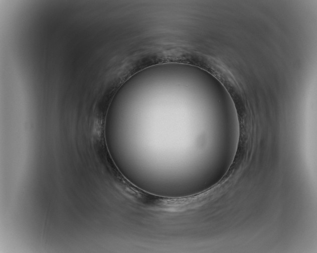 X0000116260033200912071031