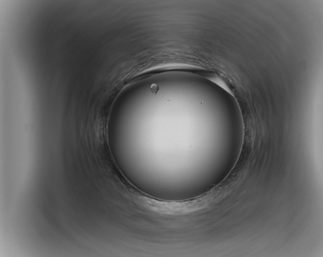 X0000116260034200912071031