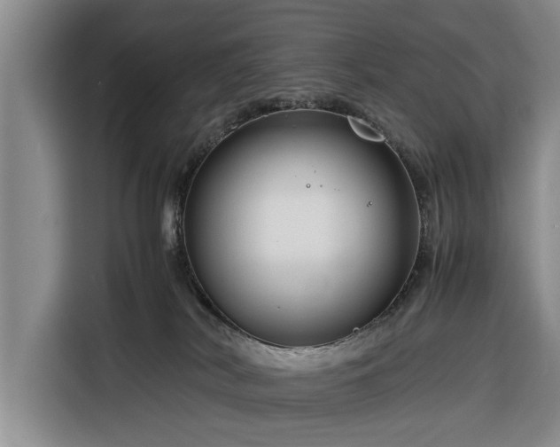 X0000116260038200912071031