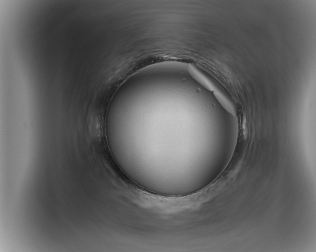 X0000116260039200912071031