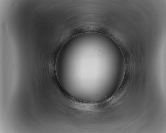 X0000116260040200912071031