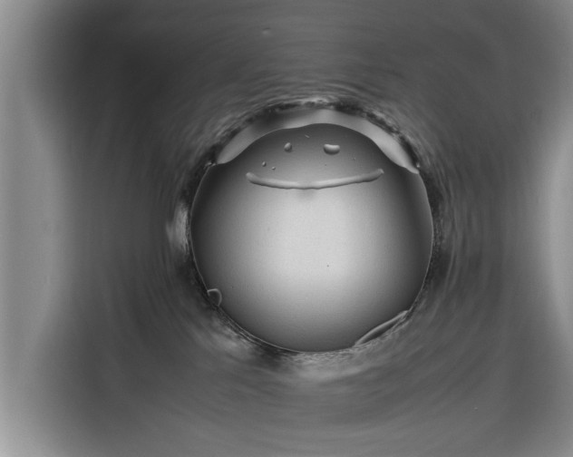 X0000116260041200912071031