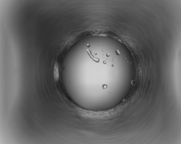 X0000116260042200912071031