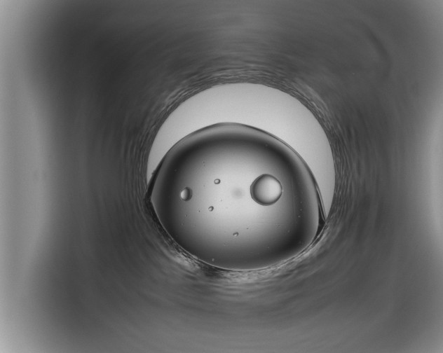X0000116260045200912071031