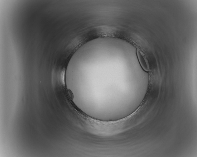 X0000116260047200912071031