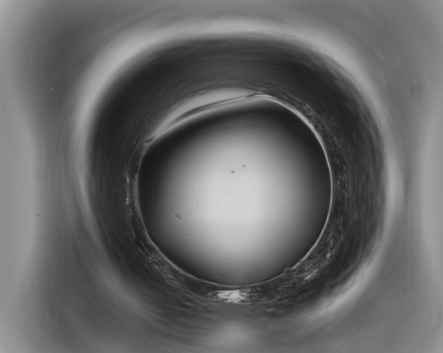 X0000116260050200912071030