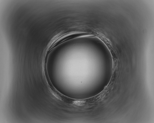 X0000116260051200912071030