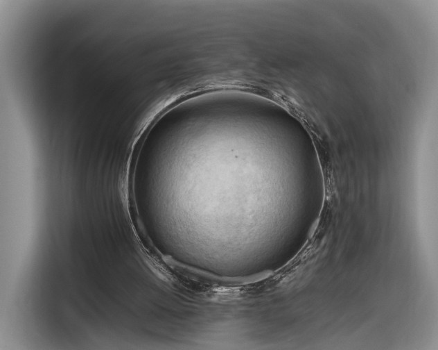X0000116260052200912071030