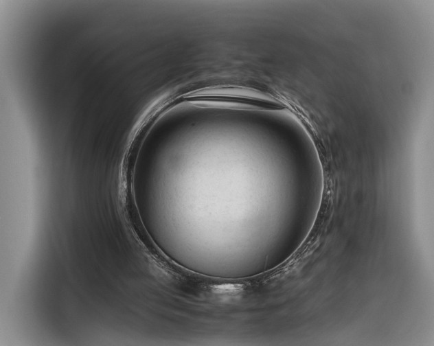 X0000116260053200912071030