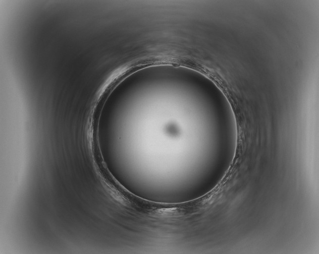 X0000116260054200912071030