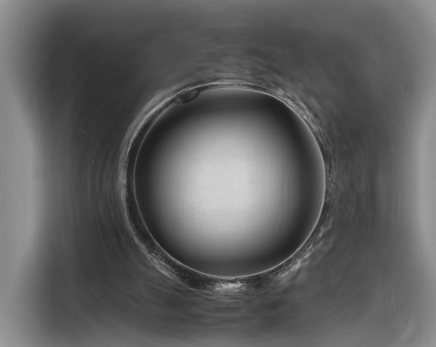X0000116260055200912071030