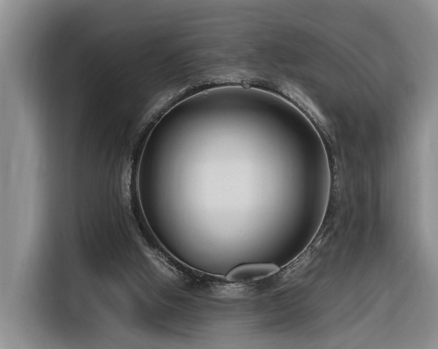 X0000116260058200912071030