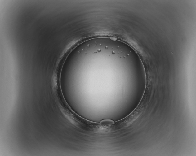 X0000116260060200912071030