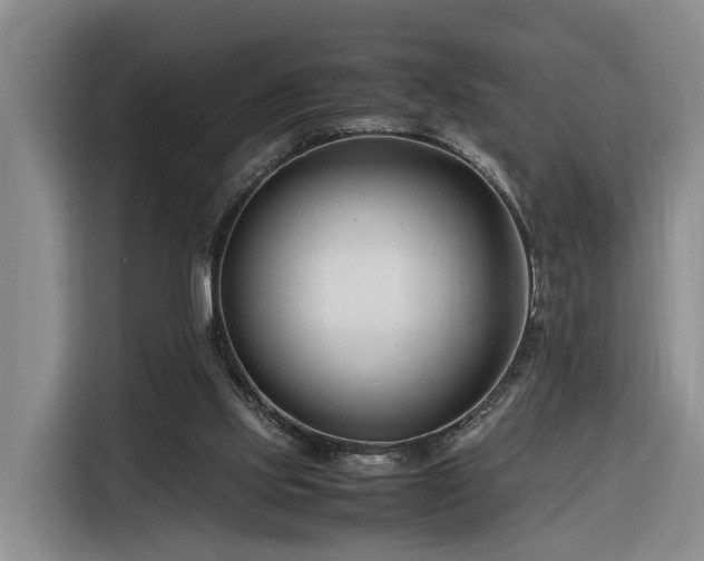 X0000116260061200912071030