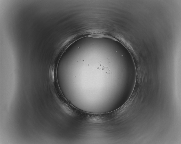 X0000116260062200912071030