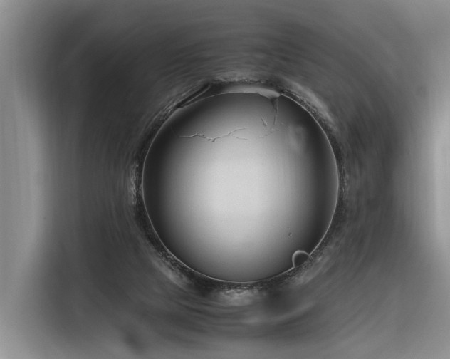 X0000116260065200912071030