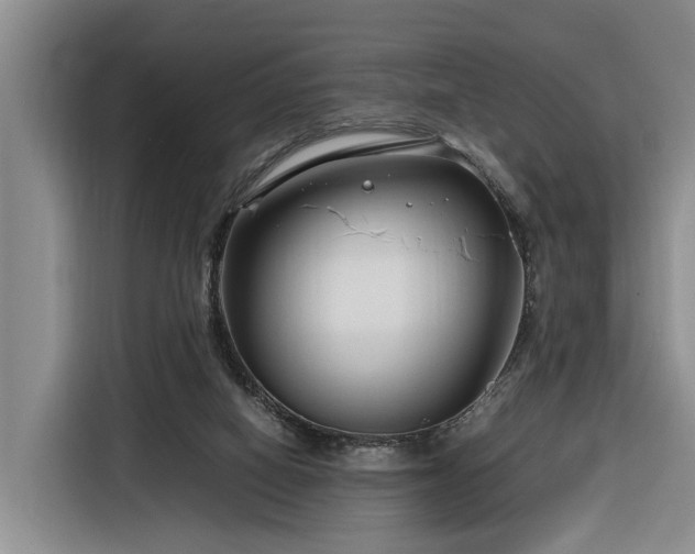 X0000116260066200912071030