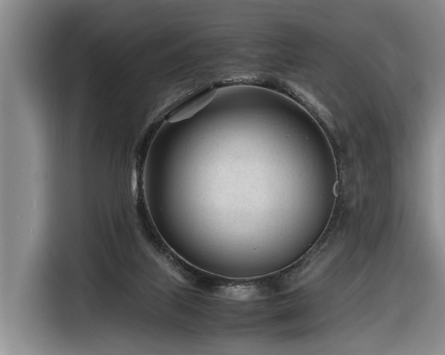 X0000116260067200912071030