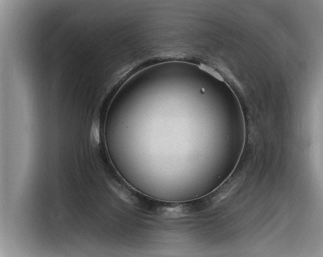X0000116260068200912071030