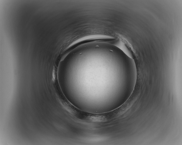 X0000116260069200912071031