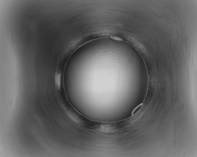 X0000116260070200912071031