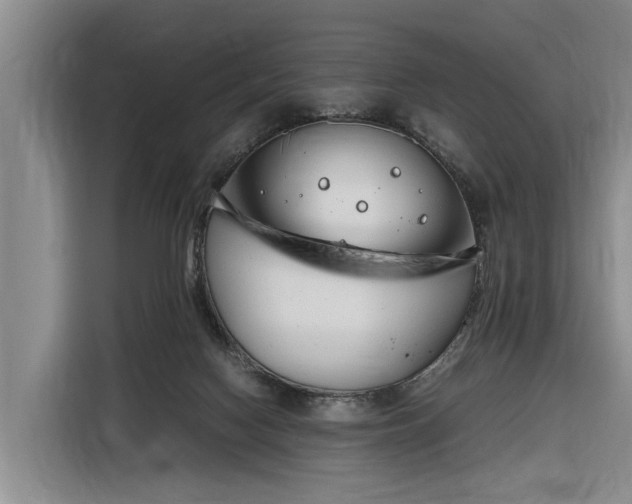 X0000116260074200912071031
