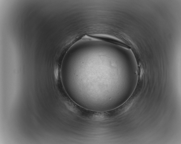 X0000116260076200912071031