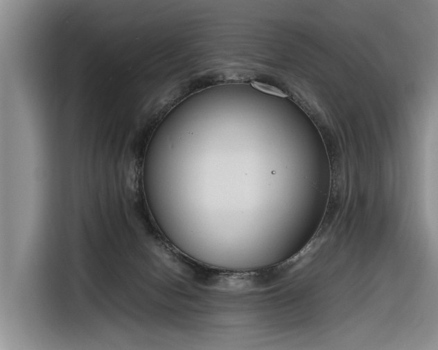 X0000116260078200912071031