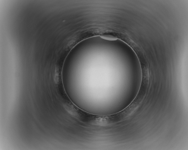X0000116260080200912071031
