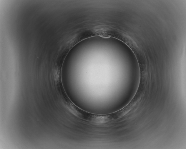 X0000116260081200912071031