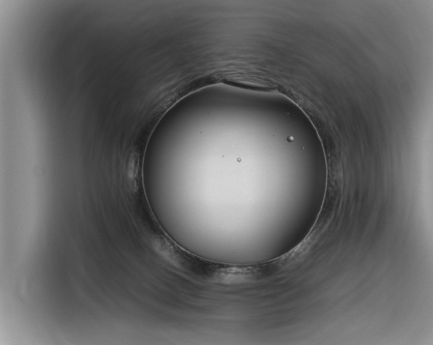 X0000116260082200912071031