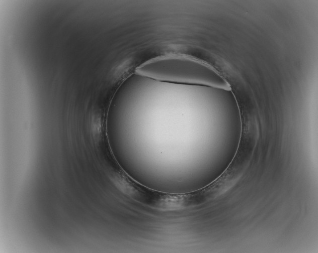 X0000116260084200912071031