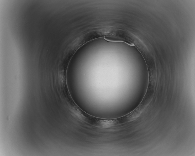 X0000116260085200912071031