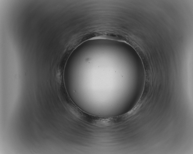 X0000116260086200912071031