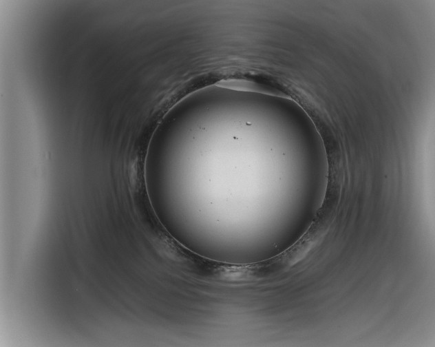X0000116260088200912071031